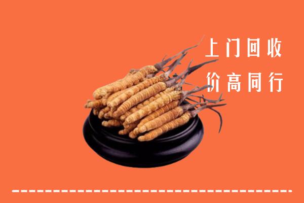 高价求购：文山州回收散虫草