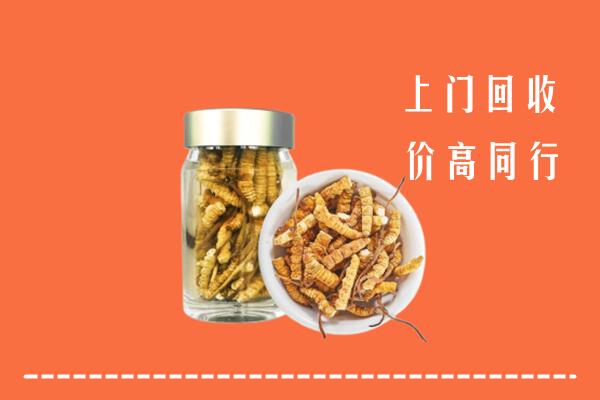 文山州回收冬虫夏草